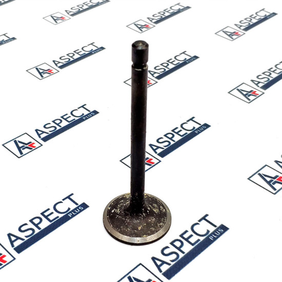 Inlet Valve Kubota 1C020-13112 AFM