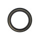 Crankshaft Oil Seal Isuzu 1096254391 Genuine