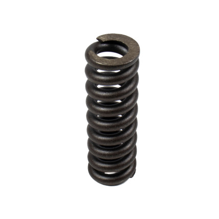Spring for Center Pin Bosch Rexroth R909921541 SKS