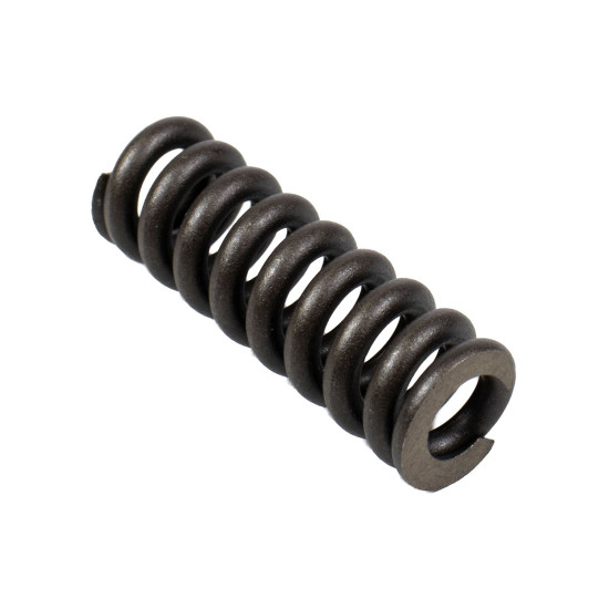 Spring for Center Pin Bosch Rexroth R909921541 SKS