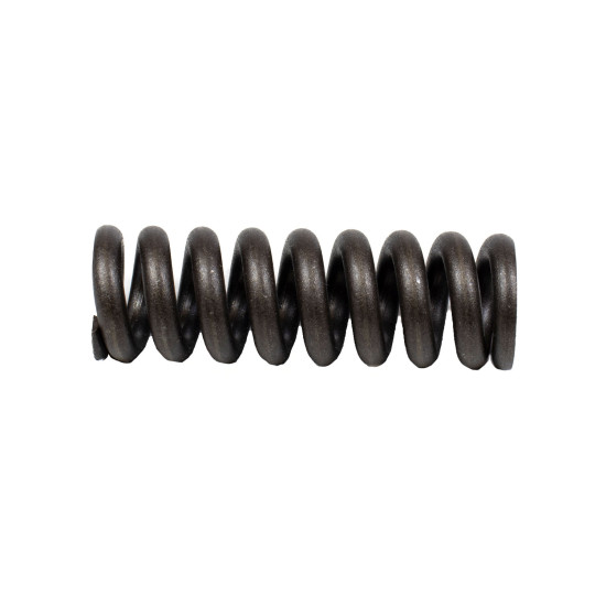 Spring for Center Pin Bosch Rexroth R909921541 SKS