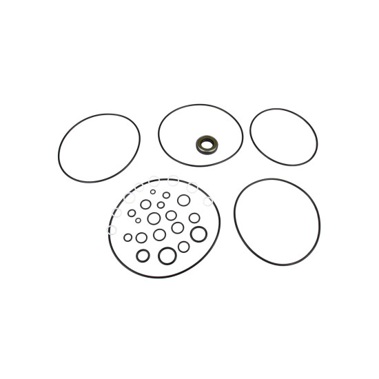 Seal kit motor Nabtesco GM18 SKS