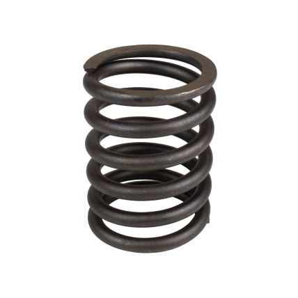 Muelle del rotor Nabtesco XKAH-00406 SKS