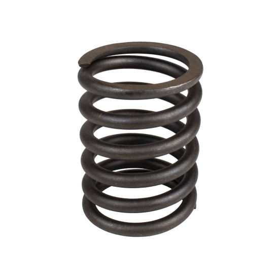 Spring of Rotor Nabtesco XKAH-00406 SKS