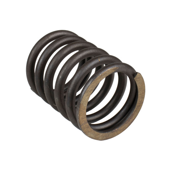 Spring of Rotor Nabtesco XKAH-00406 SKS