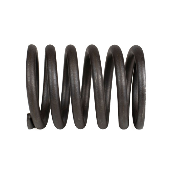 Spring of Rotor Nabtesco XKAH-00406 SKS