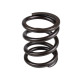 Spring of Rotor Nabtesco GM35VL SKS