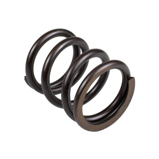 Spring of Rotor Nabtesco GM35VL SKS