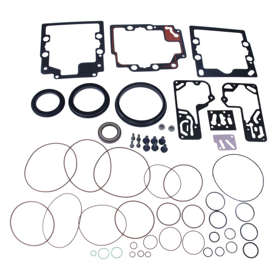 Seal kit pump Sauer-danfoss 11095648 SKS