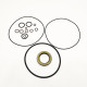 Seal kit motor Hitachi HMT36FA SKS