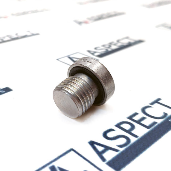 Screw Bosch Rexroth R909151979 Genuine