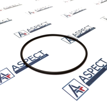 O-Ring Bosch Rexroth R909083790 Genuine