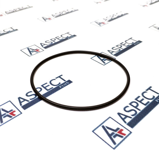 O-Ring Bosch Rexroth R909083790 Genuine