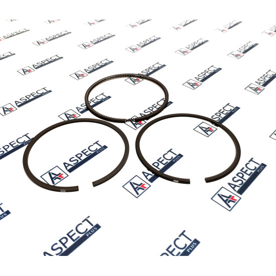 Piston Ring STD Isuzu 5873107570 Genuine