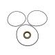 Seal kit motor Toshiba VOE14509452 SKS