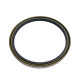 Oil Seal Kawasaki VOE14508911 AFM