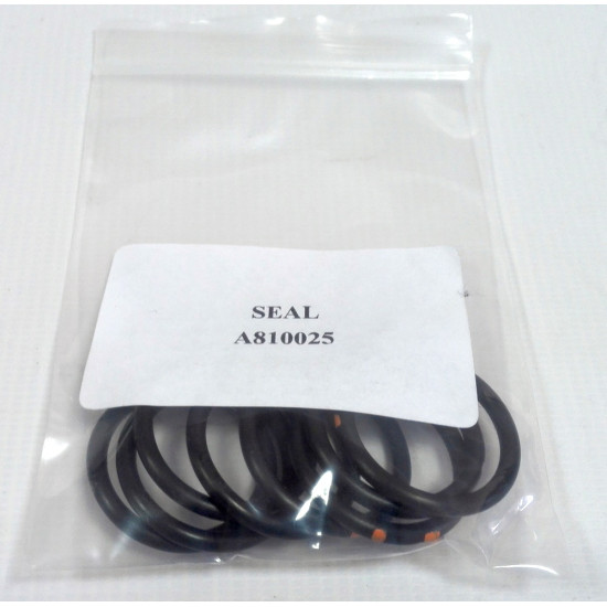 O-Ring Hitachi A810025 HITACHI