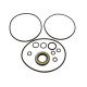 Seal kit motor Toshiba SG025 SKS