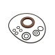 Seal kit pump Bosch Rexroth A10VO60 SKS