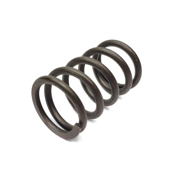 Spring of Rotor Bosch Rexroth R902400732 SKS