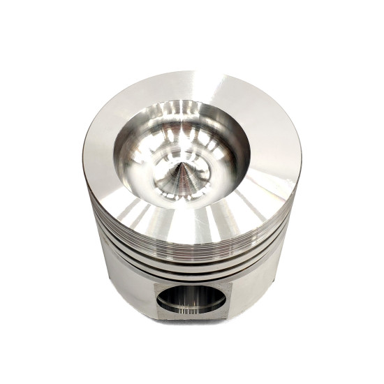 Piston Set (piston, pin, snap ring) Ricardo R4105IZD OEM