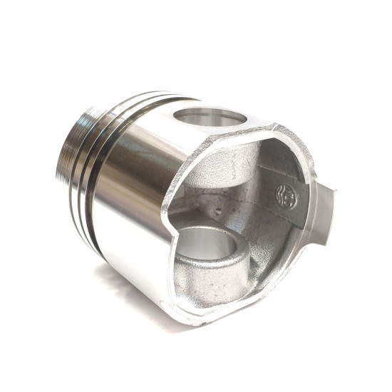 Piston Set (piston, pin, snap ring) Ricardo R4105IZD OEM