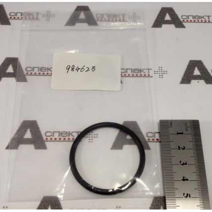 O-Ring Hitachi 984623 HITACHI