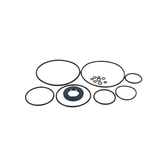 Seal kit pump Kawasaki 29L4100S0Y SKS