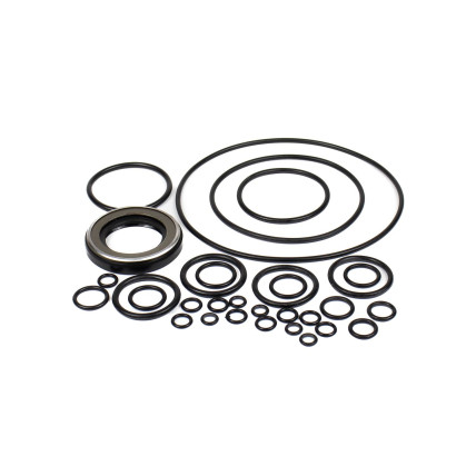 Seal kit pump Kawasaki 29L8100S0Y SKS