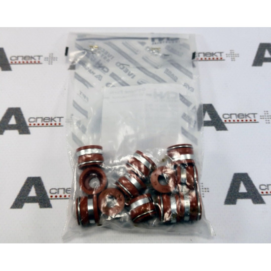 Valve Guide Seal Iveco 4895347 IVECO