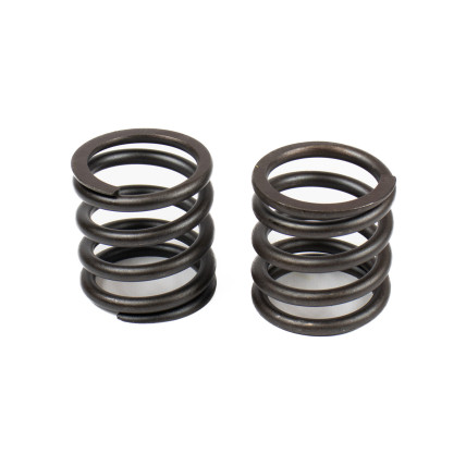 Spring of Rotor Kayaba 0411405 SKS