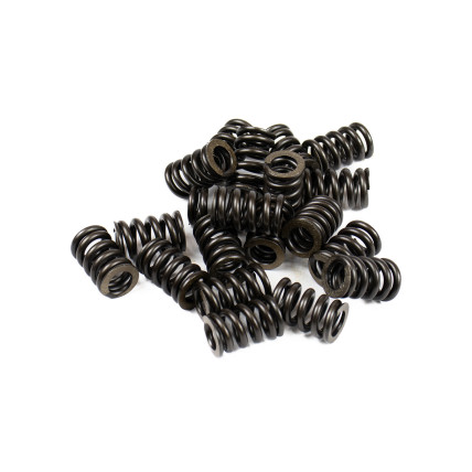 Bias spring Jeil XKAY-00541 SKS