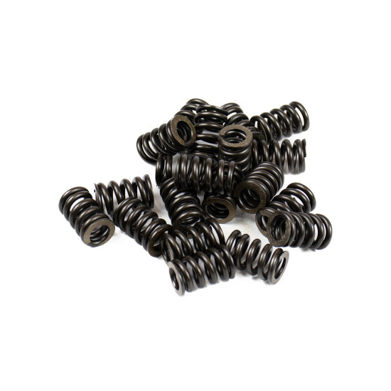 Bias spring Jeil XKAY-00541 SKS