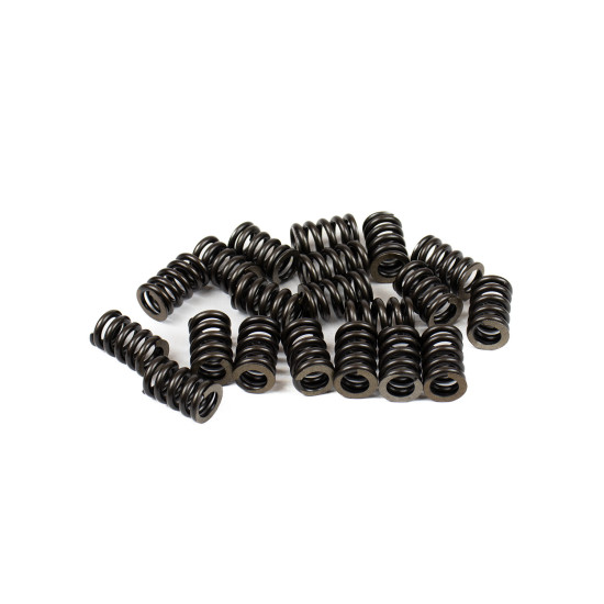 Bias spring Jeil XKAY-00541 SKS