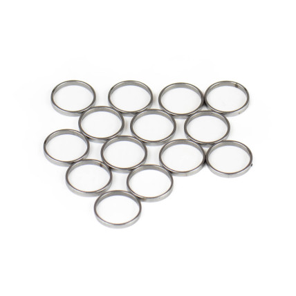Piston Ring Bosch Rexroth R909831880 SKS