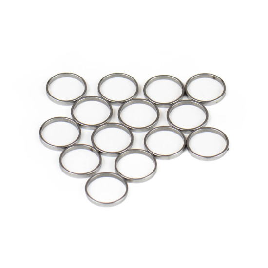 Piston Ring Bosch Rexroth R909831880 SKS