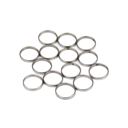Piston Ring Bosch Rexroth R909831881 SKS