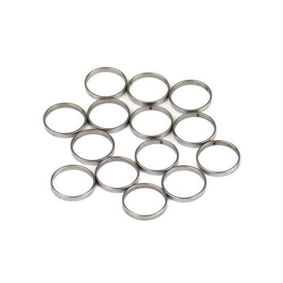 Piston Ring Bosch Rexroth R909831881 SKS