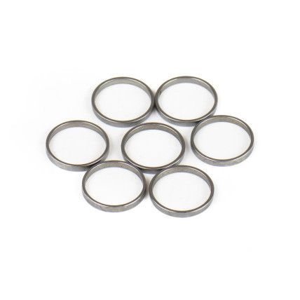 Piston Ring Bosch Rexroth R909831882 SKS