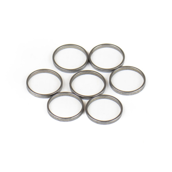 Piston Ring Bosch Rexroth R909831882 SKS