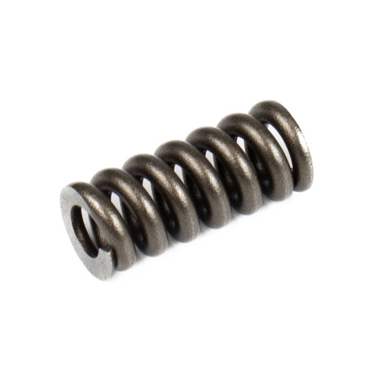 Spring for Center Pin Bosch Rexroth R902027486 SKS