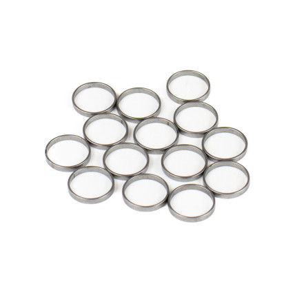 Piston Ring Bosch Rexroth R909831883 SKS