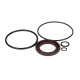 Seal kit pump Bosch Rexroth R987053779 SKS