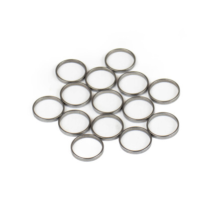 Piston Ring Bosch Rexroth R909831884 SKS