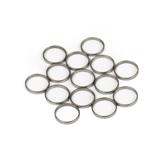 Piston Ring Bosch Rexroth R909831884 SKS
