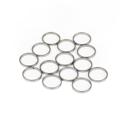 Piston Ring Bosch Rexroth R909831885 SKS
