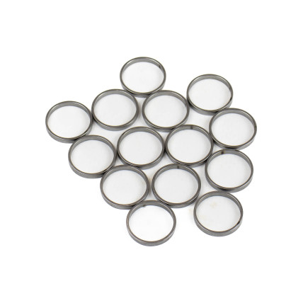 Piston Ring Bosch Rexroth R909831887 SKS