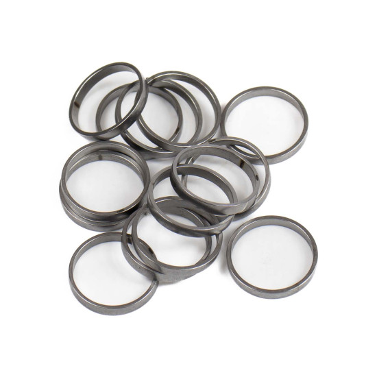 Piston Ring Bosch Rexroth R909831887 SKS