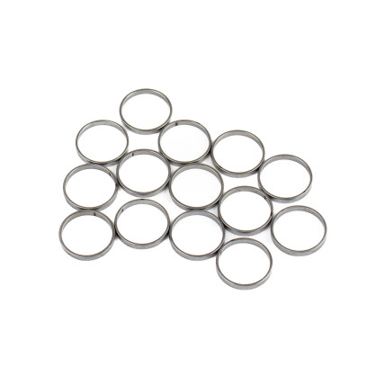 Piston Ring Bosch Rexroth R909831888 SKS