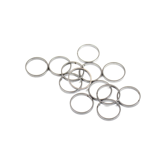 Piston Ring Bosch Rexroth R909831888 SKS